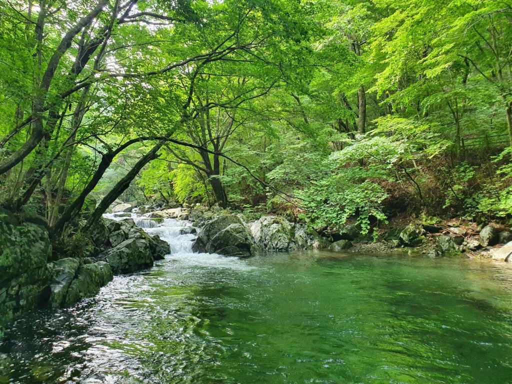 여름에 가는 덕유산