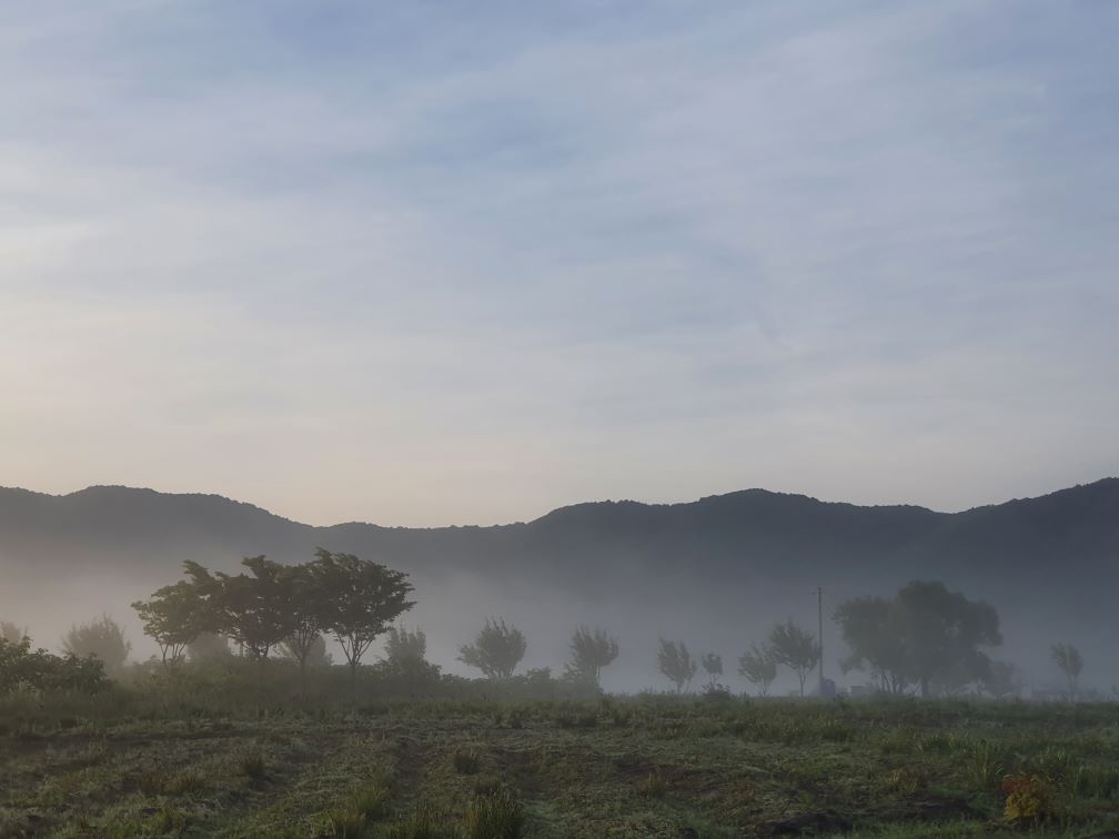 펀치볼에서 보낸 여름밤